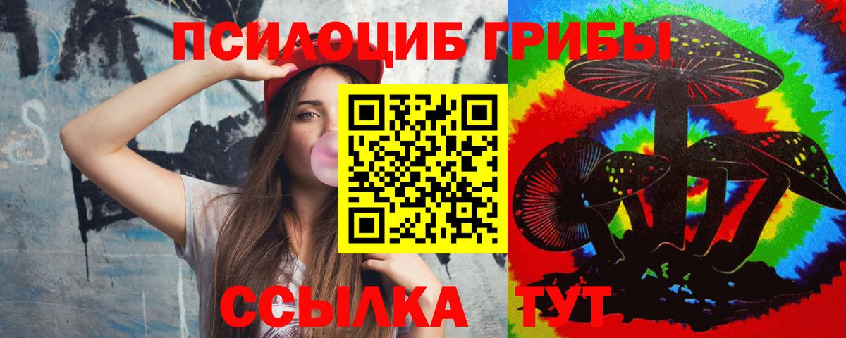 Псилоцибиновые грибы Psilocybe  Вход с VPN  Кемерово 