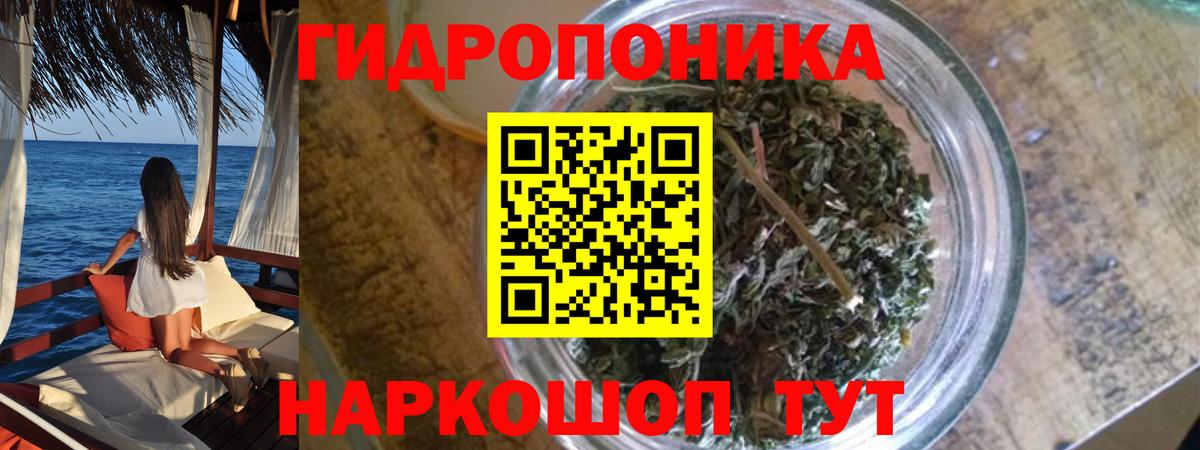 Каннабис ГИДРОПОН  Бошки марихуана VHQ  Вход с VPN  Кемерово 
